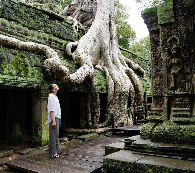 Tourist admiring massive tree roots growing over stone ruins at Ta Prohm Temple near J7 Hotel Siem Reap.